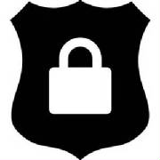 Commercial security lock and shield